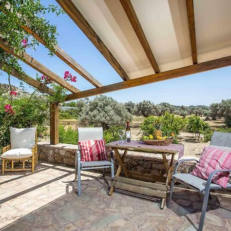 Sunny Countryside Villa - With Private Pool ファリラキ エクステリア 写真