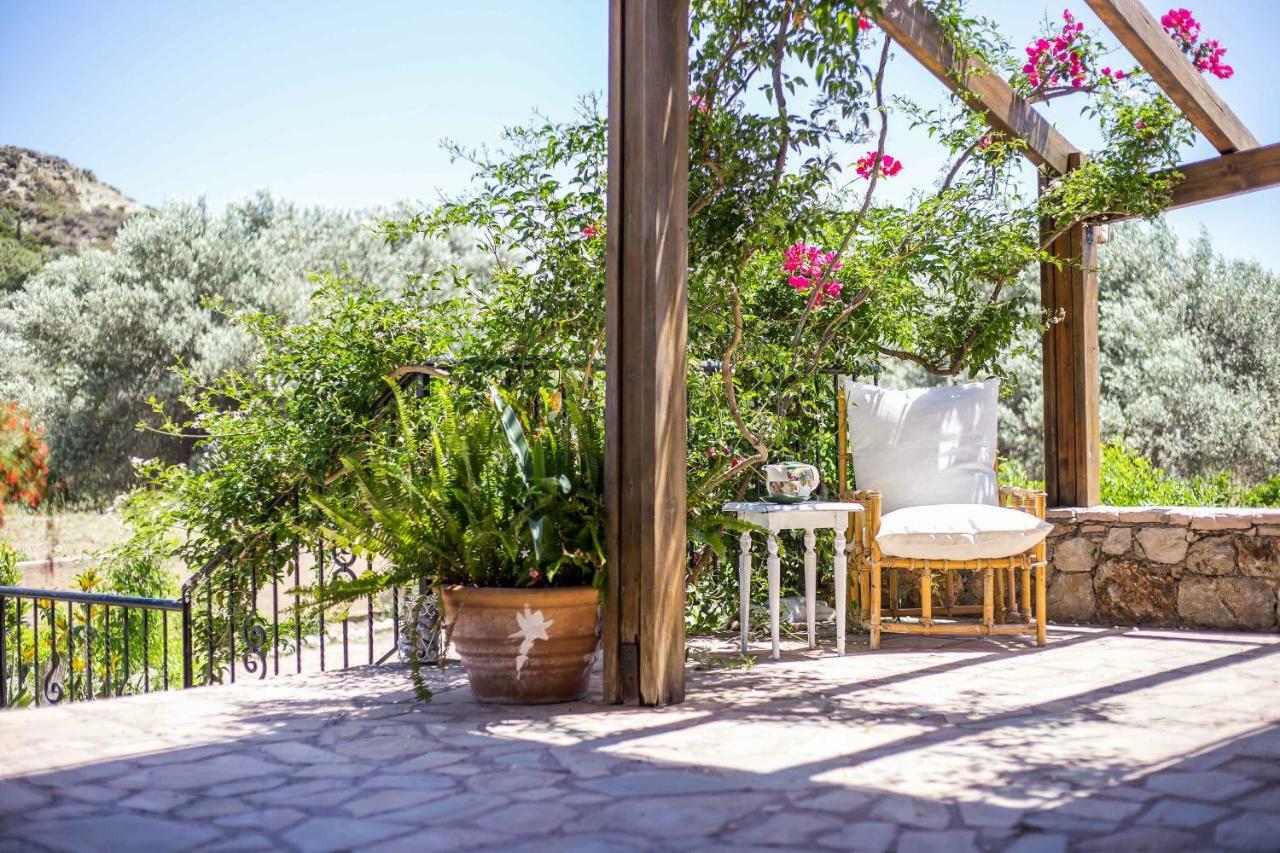 Sunny Countryside Villa - With Private Pool ファリラキ エクステリア 写真